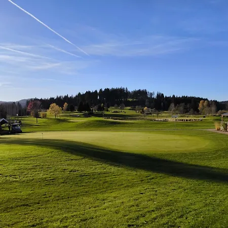 호텔 Schwarzwald Wellnesshotel Saigerhoeh I Golf & Wandern Ueber Dem Titisee 4*