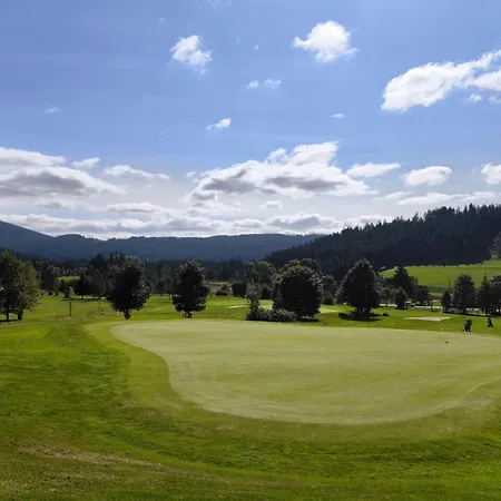 Schwarzwald Wellnesshotel Saigerhoeh I Golf & Wandern Ueber Dem Titisee 酒店 伦茨基希