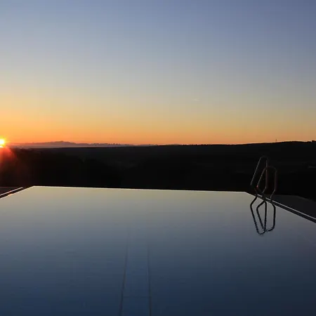 Saigerhöh Hotel 4*