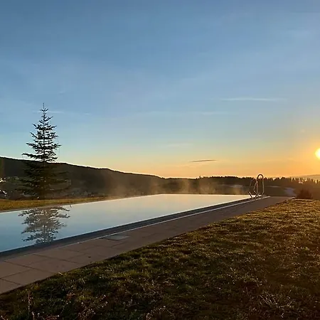 Schwarzwald Wellnesshotel Saigerhoeh I Golf & Wandern Ueber Dem Titisee מלון לנצקירש