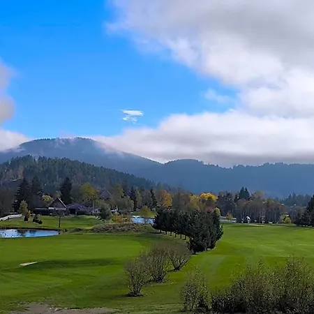 Schwarzwald Wellnesshotel Saigerhoeh I Golf & Wandern Ueber Dem Titisee 호텔 렌즈키르흐