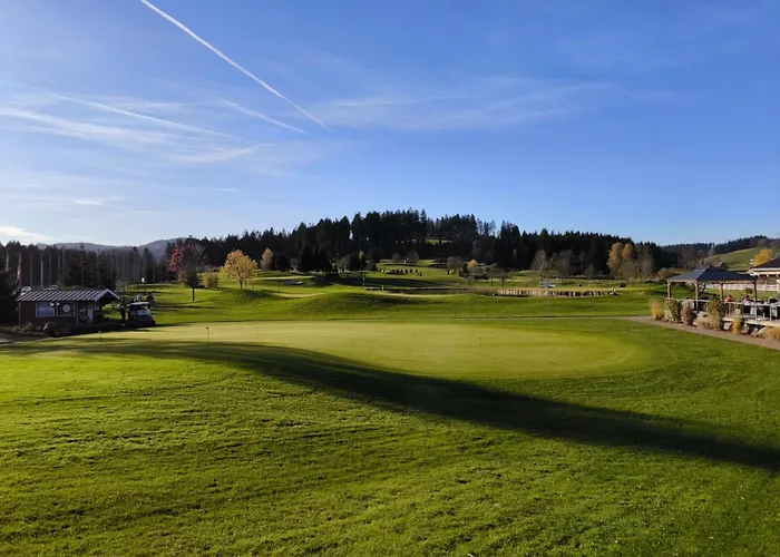 Hotel Schwarzwald Wellnesshotel Saigerhoeh I Golf & Wandern Ueber Dem Titisee 4*
