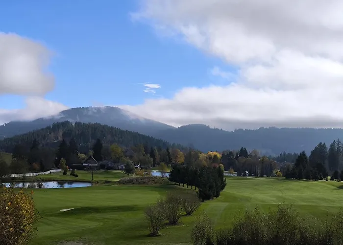 Schwarzwald Wellnesshotel Saigerhoeh I Golf & Wandern Ueber Dem Titisee 4*