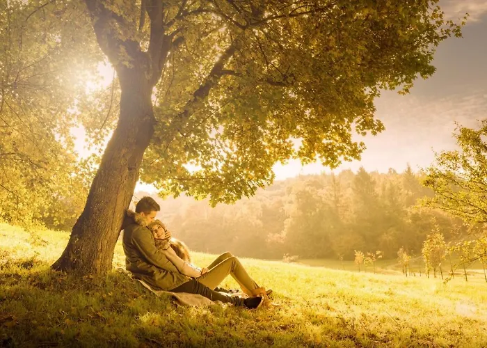 Hotel Schwarzwald Wellnesshotel Saigerhoeh I Golf & Wandern Ueber Dem Titisee