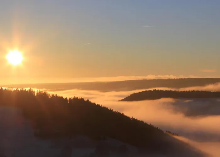 Hotel Schwarzwald Wellnesshotel Saigerhoeh I Golf & Wandern Ueber Dem Titisee